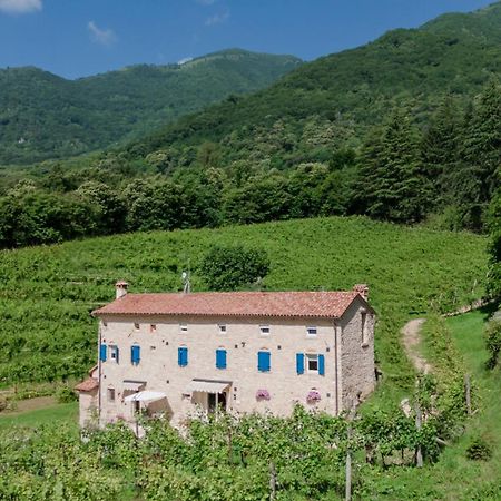 Agriturismo Podere Del Bosc Valmareno Εξωτερικό φωτογραφία