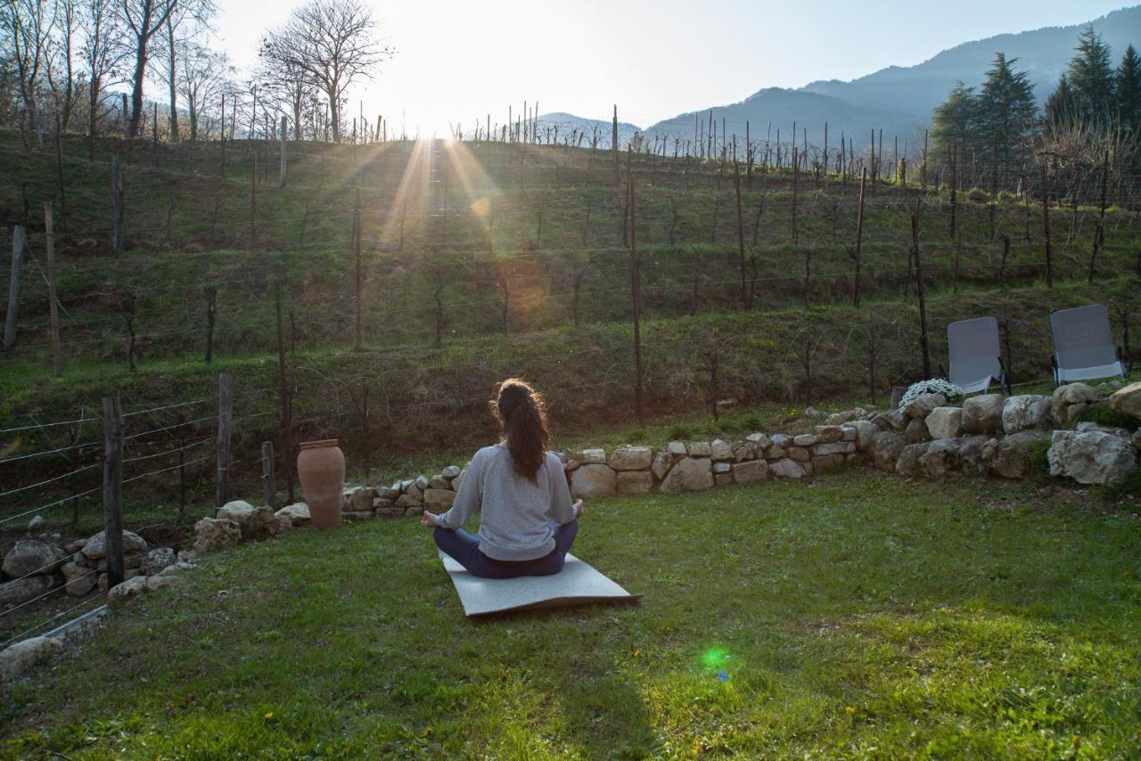 Agriturismo Podere Del Bosc Valmareno Εξωτερικό φωτογραφία