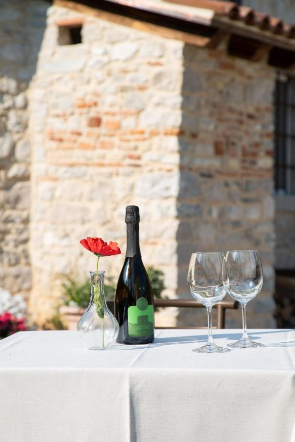 Agriturismo Podere Del Bosc Valmareno Εξωτερικό φωτογραφία