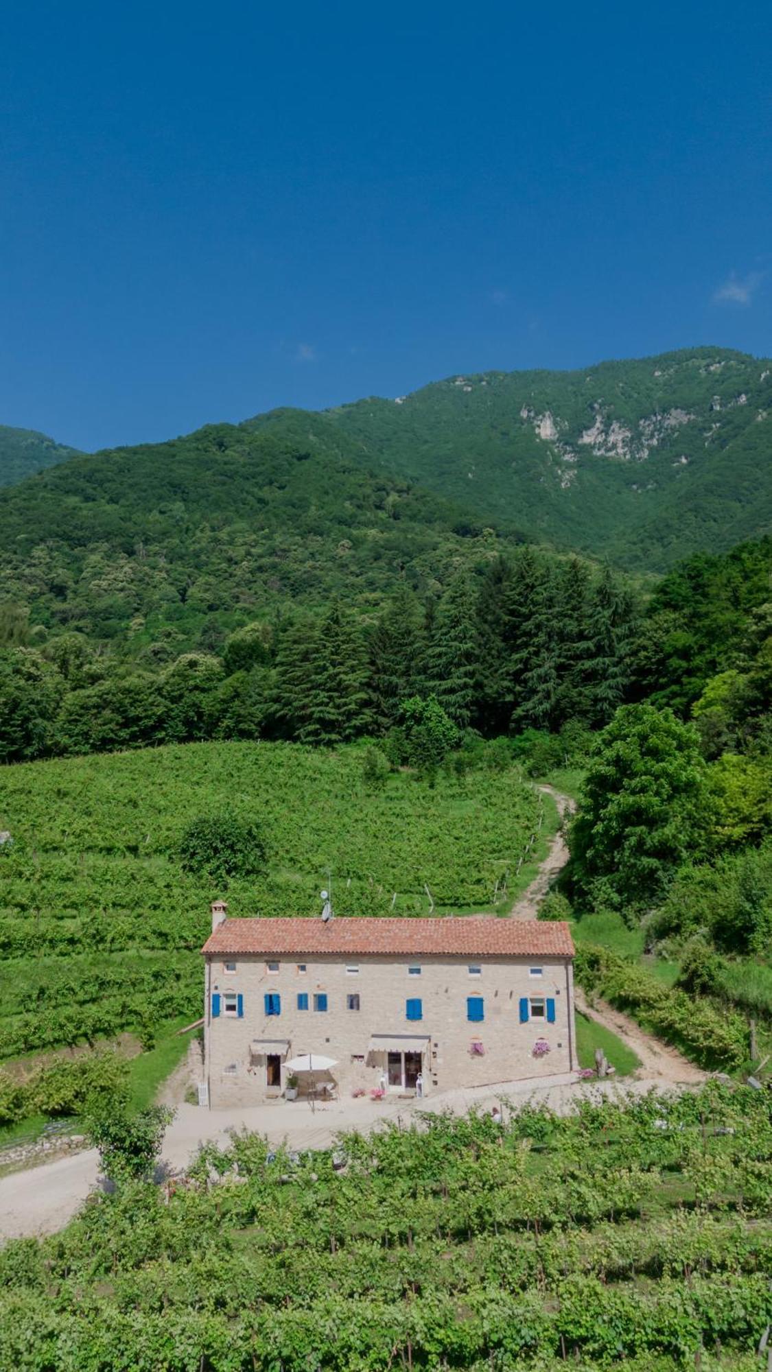 Agriturismo Podere Del Bosc Valmareno Εξωτερικό φωτογραφία