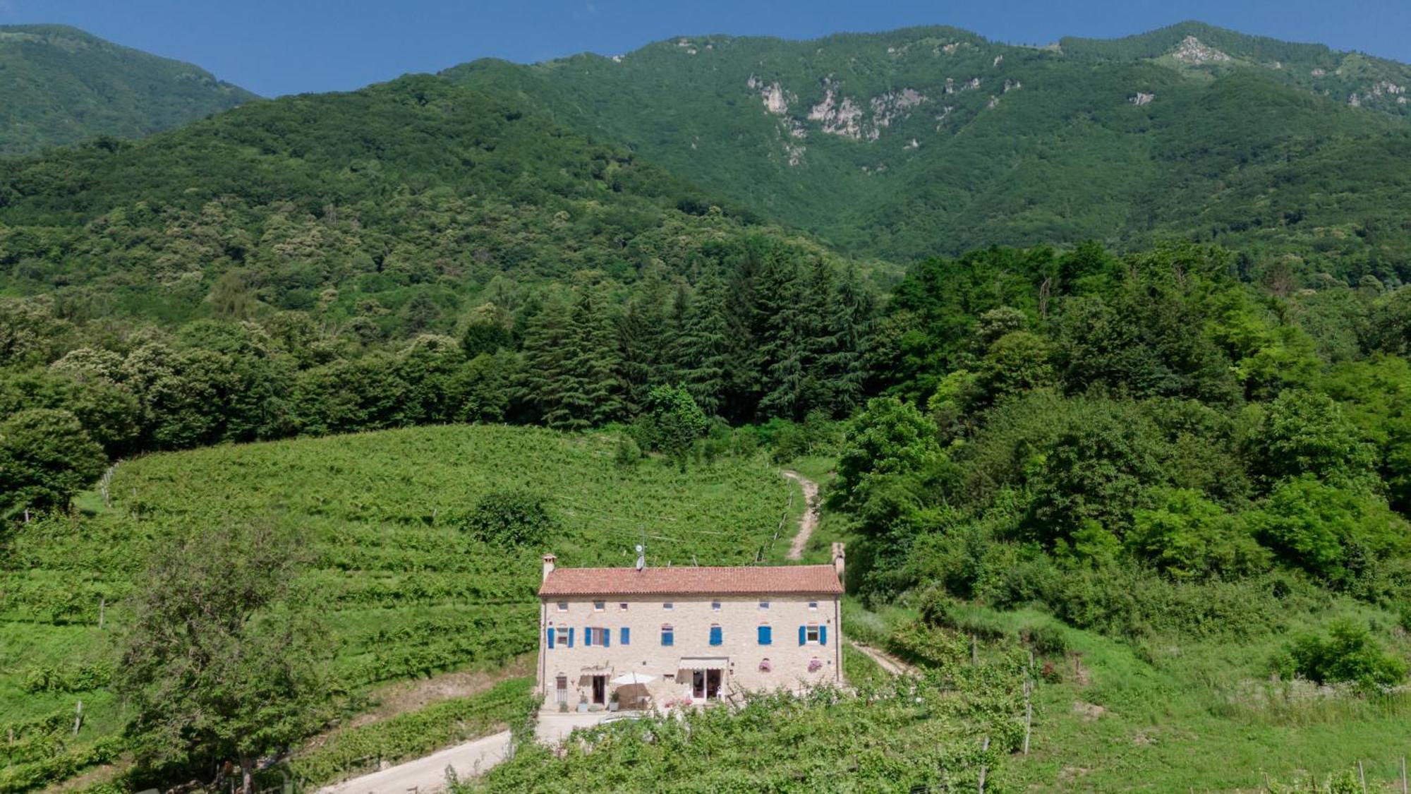 Agriturismo Podere Del Bosc Valmareno Εξωτερικό φωτογραφία